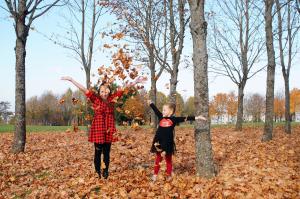 Fotografas Žilinskas Renaldas - vestuvinė, krikštynų fotografija, fotosesijos
